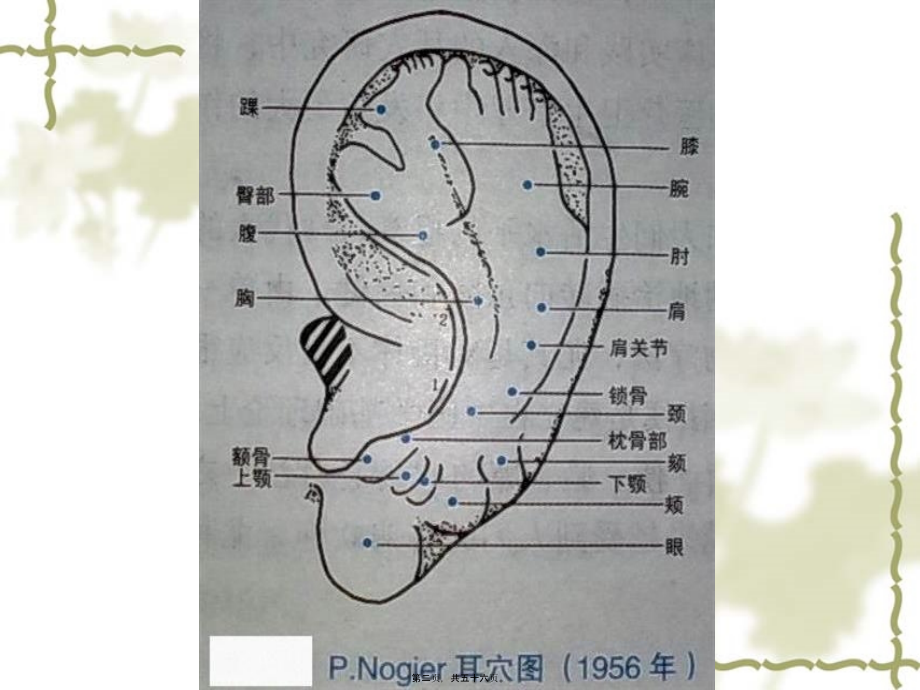 2022年医学专题—耳穴的功能归类.ppt_第2页