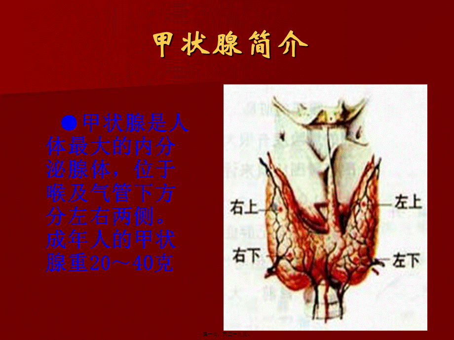 单纯性甲状腺肿PPT.pptx_第1页