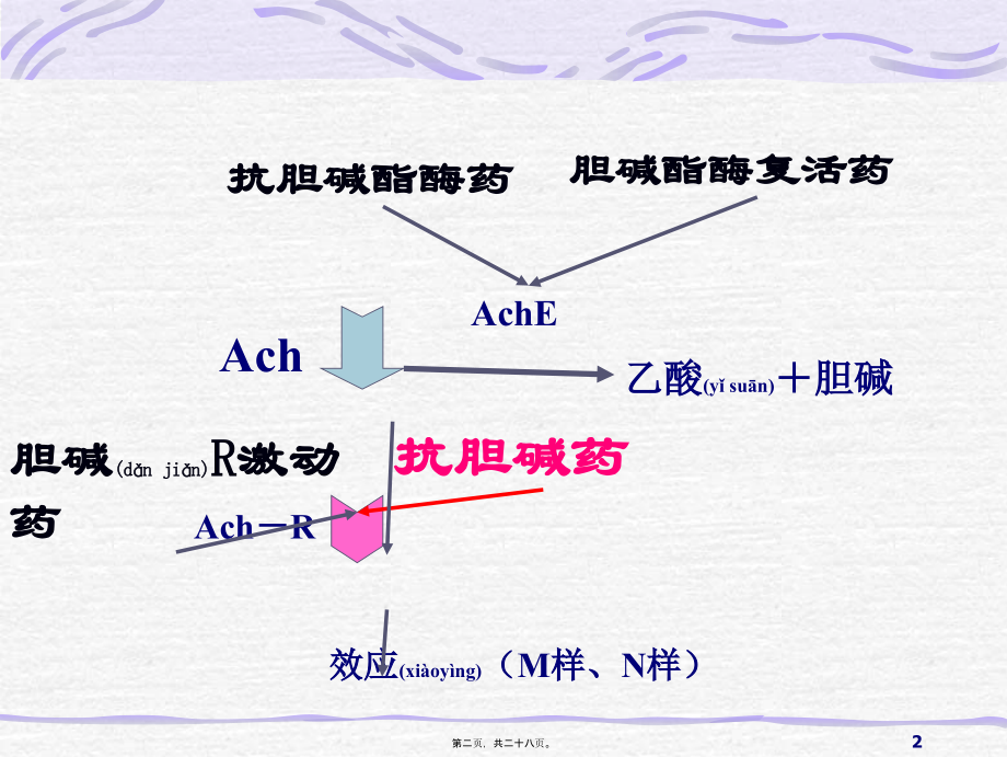 2022年医学专题—抗胆碱酯酶药抗胆碱药抗胆碱药分类.ppt_第2页