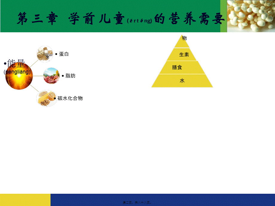 2022年医学专题—第三章-学前儿童的营养需要.ppt_第2页