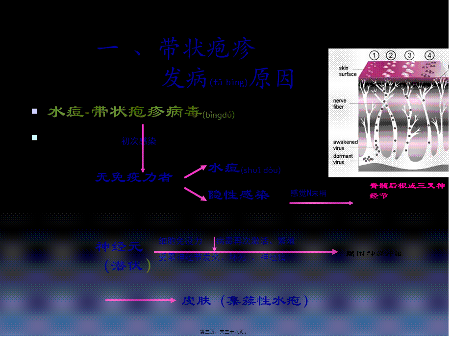 2022年医学专题—带状疱疹及后遗神经痛科普(1).pptx_第3页