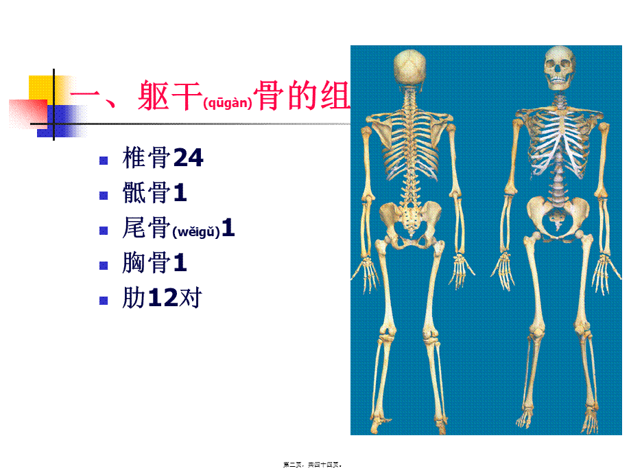 2022年医学专题—NO.2躯干骨及其连接(1).ppt_第2页