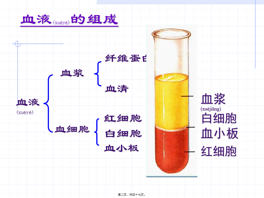 2022年医学专题—组织胚胎学-血液及血细胞的发生(1).ppt_第2页