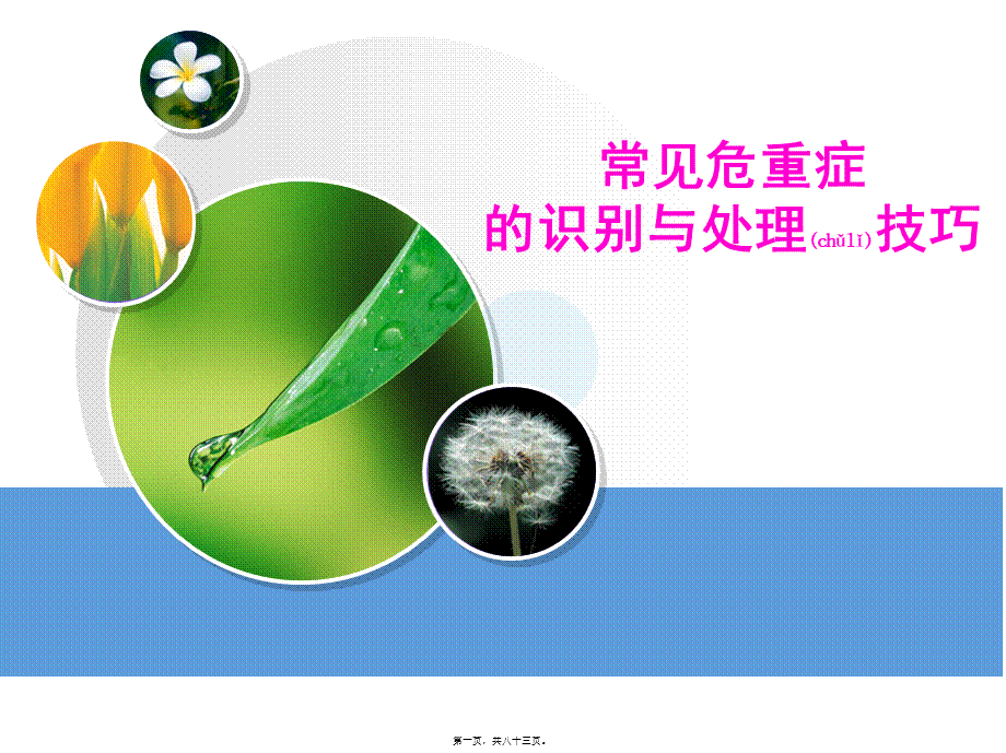 2022年医学专题—常见危重症的识别与处理技巧(1).ppt_第1页