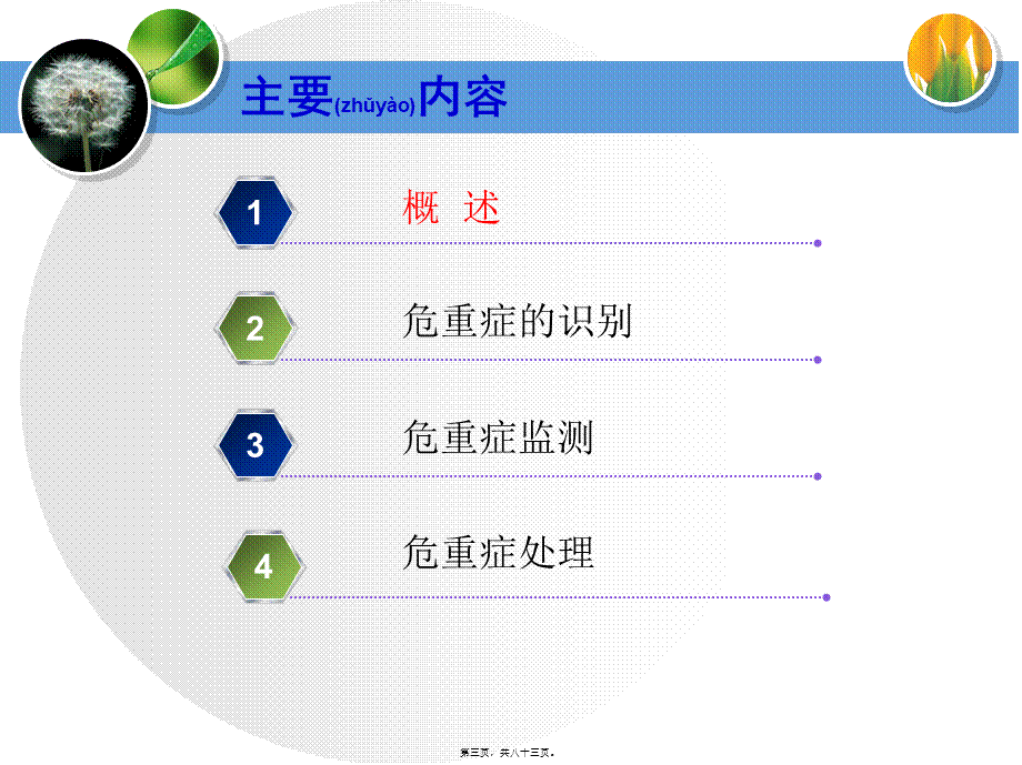 2022年医学专题—常见危重症的识别与处理技巧(1).ppt_第3页