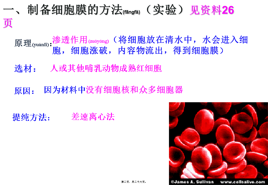 2022年医学专题—细胞膜一轮复习-细胞膜的结构与功能-M(1).ppt_第2页