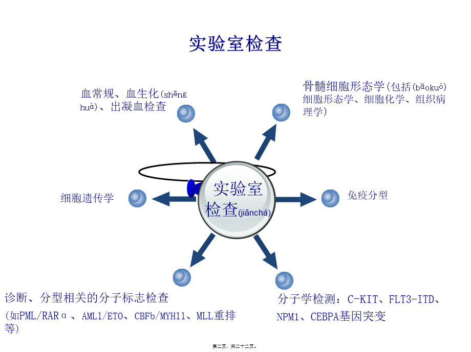 2022年医学专题—急性非淋巴细胞白血病(1).ppt_第2页