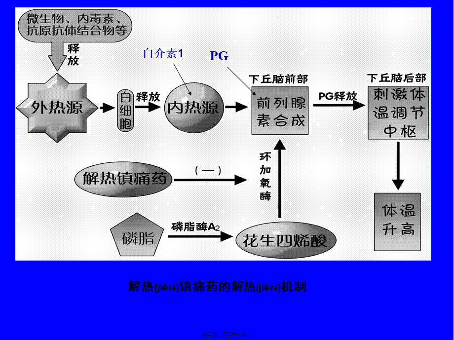 2022年医学专题—第十七章-解热镇痛抗炎药和抗风湿药(1).ppt_第3页