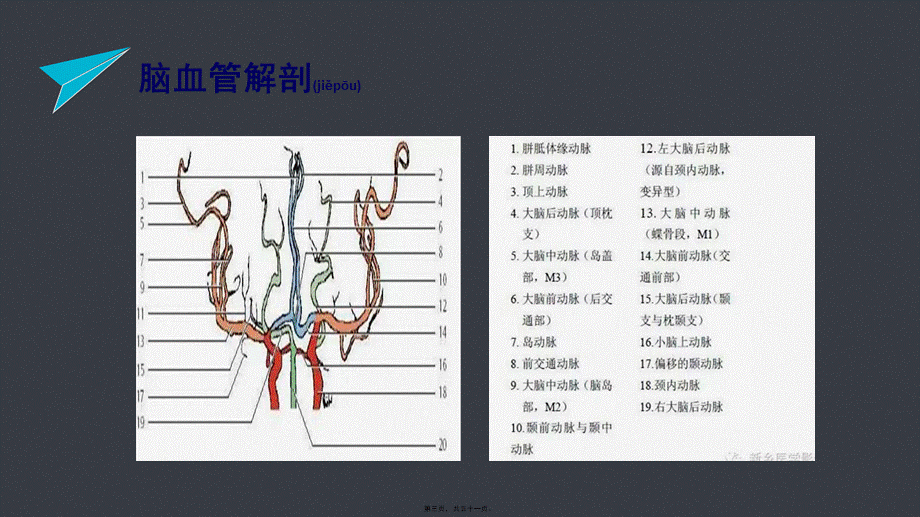 2022年医学专题—急性脑梗塞的责任血管判定.pptx_第3页