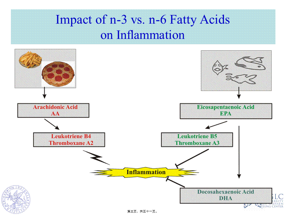 2022年医学专题—N-3脂肪酸在急重症的应用(1).ppt_第3页