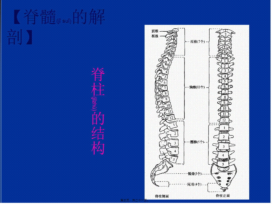 2022年医学专题—脊髓损伤的感觉评定(1).ppt_第3页