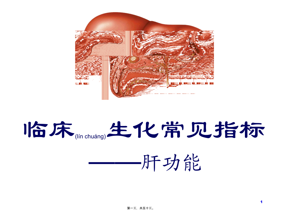 2022年医学专题—生化——肝功能(新).ppt_第1页