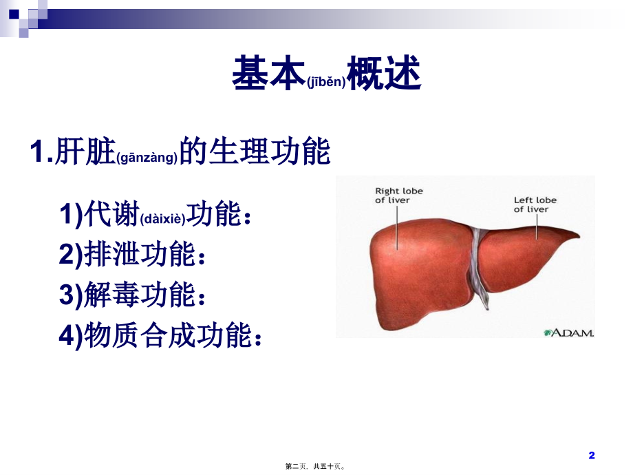 2022年医学专题—生化——肝功能(新).ppt_第2页