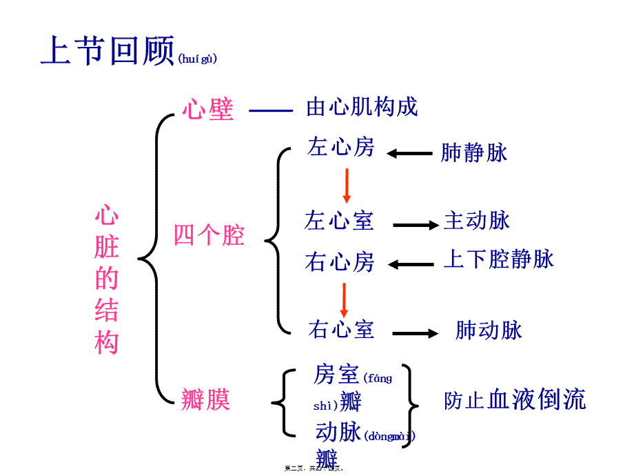 2022年医学专题—心脏的第二课时(1).ppt_第2页