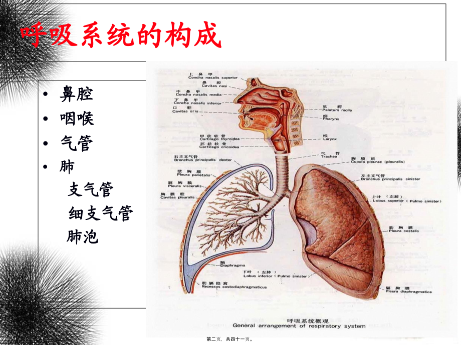 呼吸及体位排痰训练.pptx_第2页