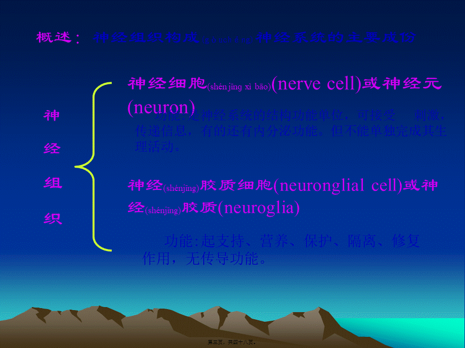 2022年医学专题—第七章神经组织..(1).ppt_第3页