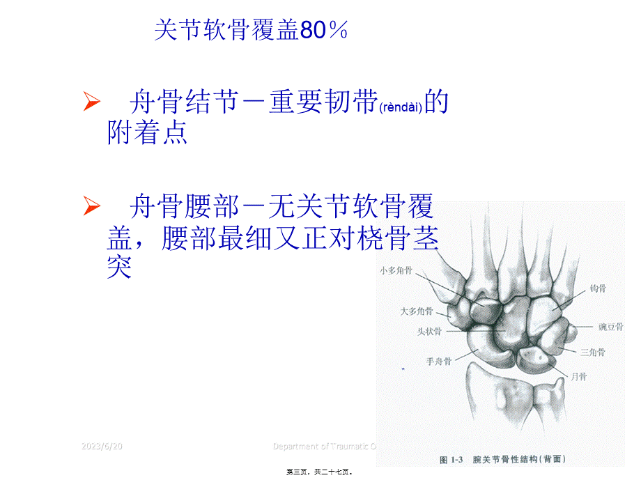 2022年医学专题—腕部舟状骨骨折(1).ppt_第3页