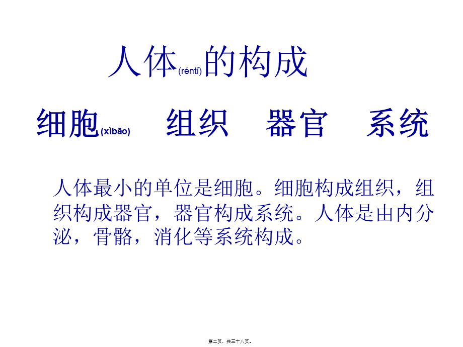 2022年医学专题—什么是细胞营养医.ppt.ppt_第2页