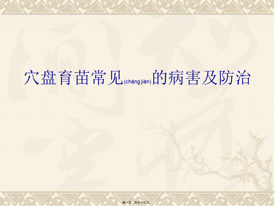 2022年医学专题—穴盘育苗常见的病害及防治(1).ppt_第1页