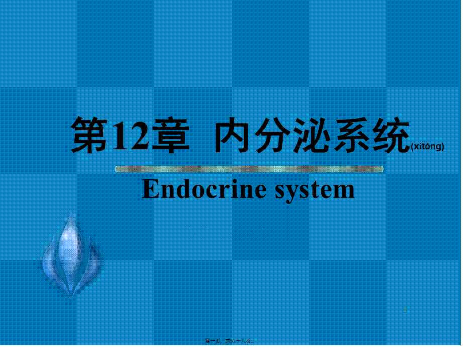 2022年医学专题—第12章-动物组织胚胎学-内分泌系统(1).ppt_第1页