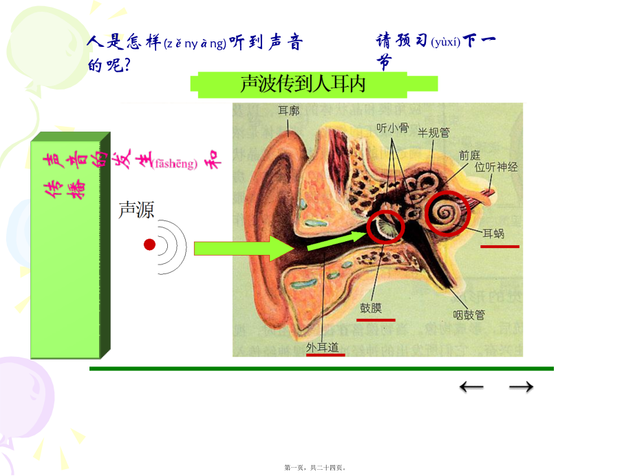 2022年医学专题—耳的结构与听觉的形成(第一课时).ppt_第1页