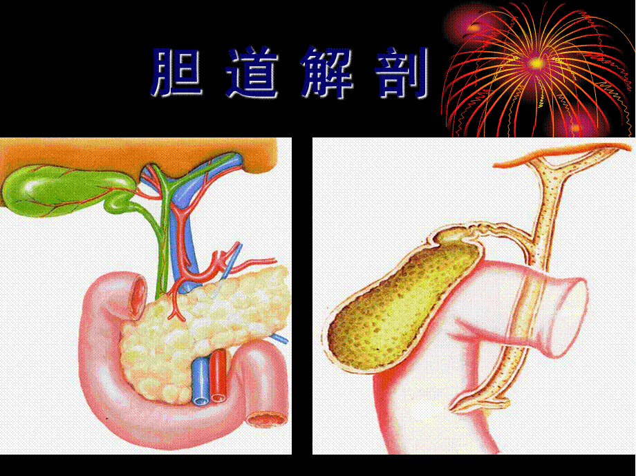 2022年医学专题—结石性胆囊炎的诊治(1).ppt_第3页