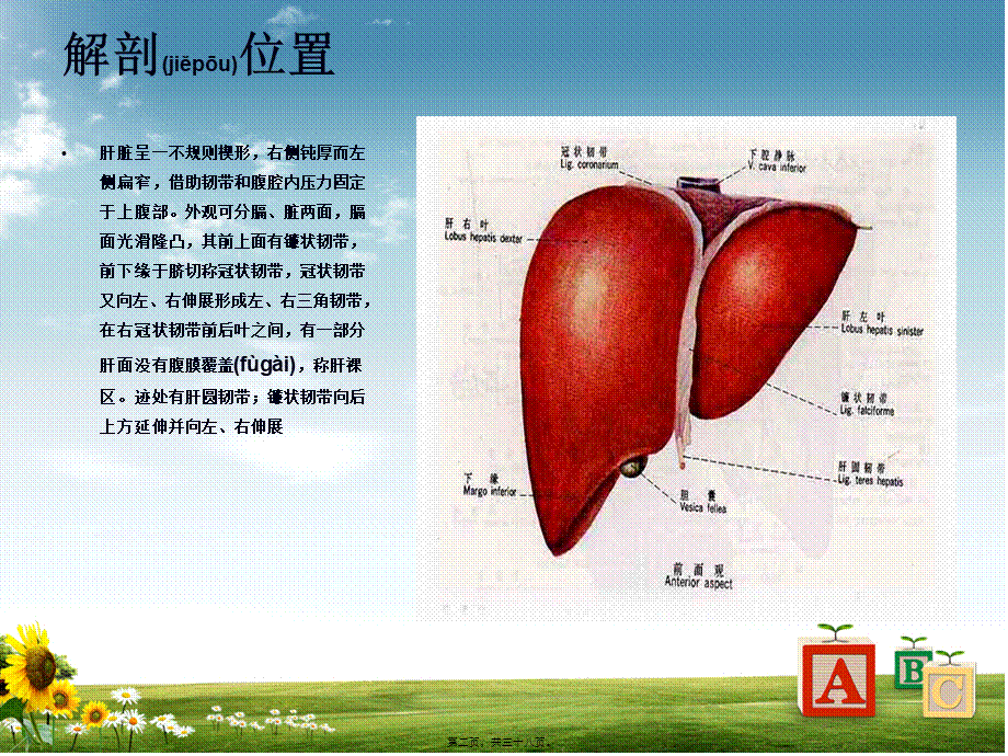 2022年医学专题—右肝癌根治术(1).ppt_第2页