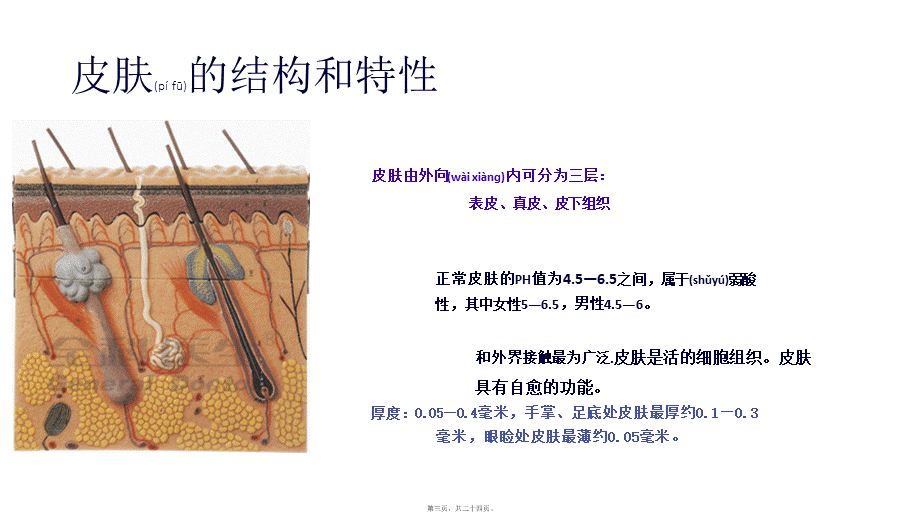 2022年医学专题—皮肤激光(1).pptx_第3页