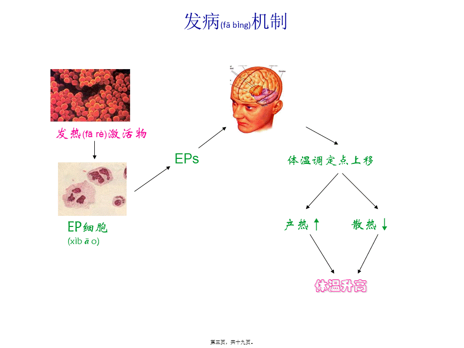 2022年医学专题—发热二(1).ppt_第3页