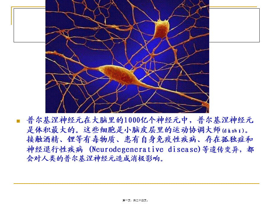 2022年医学专题—人体显微照片.ppt_第1页