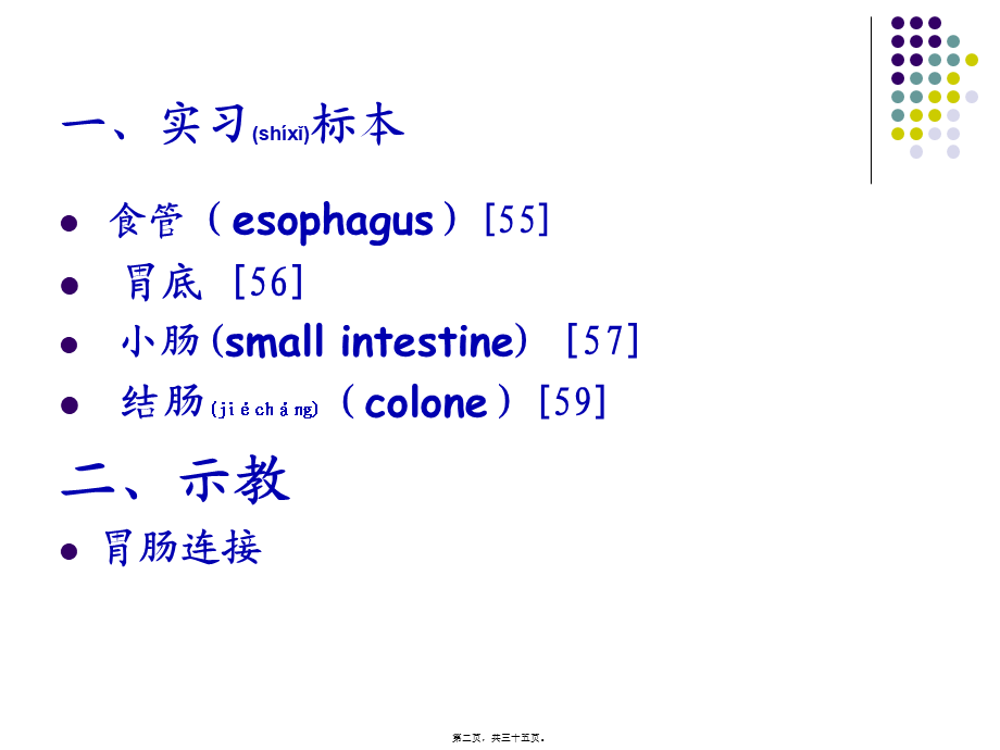 2022年医学专题—消化管48-2011(1).ppt_第2页