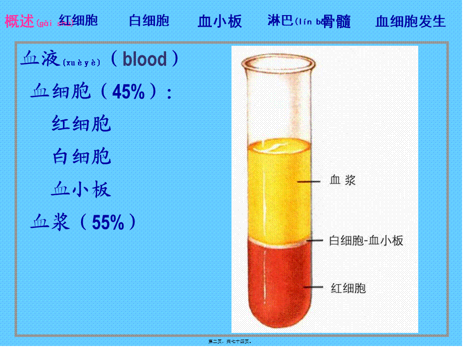 2022年医学专题—组织胚胎学04血液.ppt_第2页