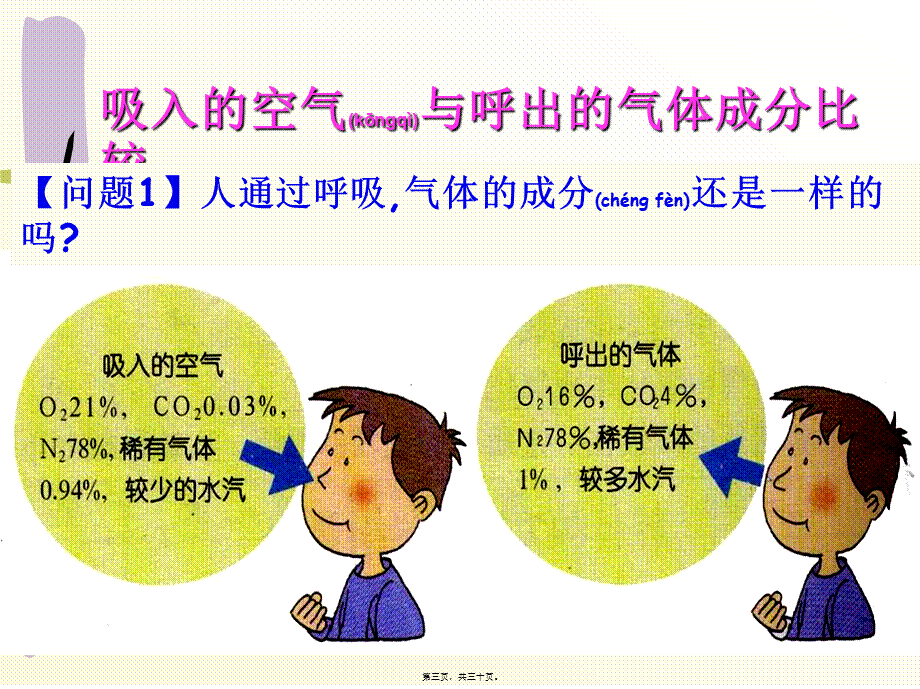 2022年医学专题—呼吸道和肺(1).ppt_第3页