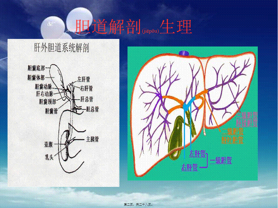 2022年医学专题—胆囊结石伴胆囊炎(1).ppt_第2页