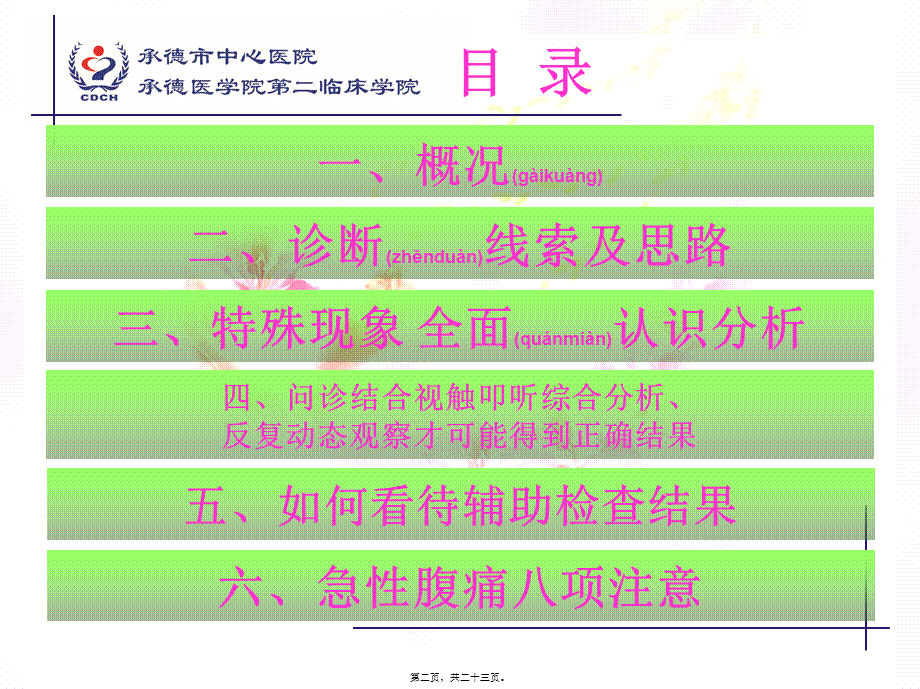 2022年医学专题—患者腹痛--医生头痛(1).ppt_第2页