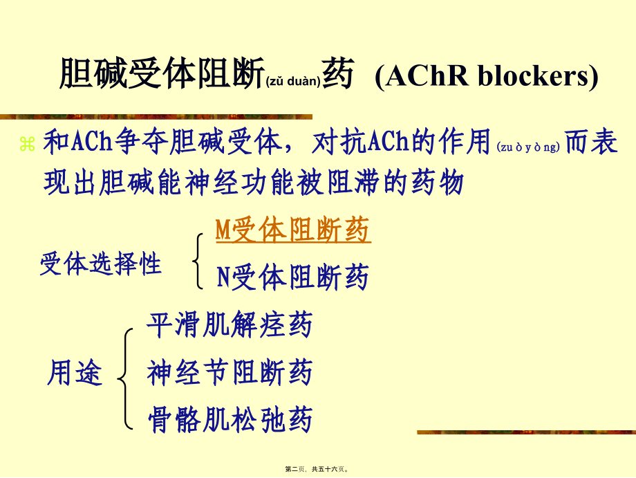 2022年医学专题—胆碱受体阻断药2010-1(1).ppt_第2页