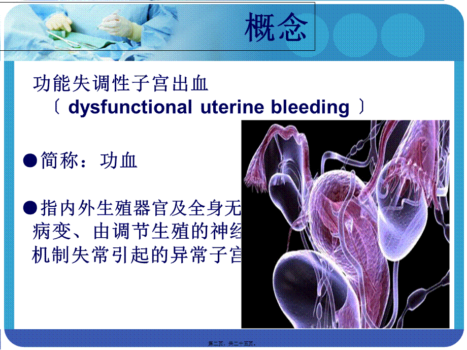 妇科功血小讲课.pptx_第2页