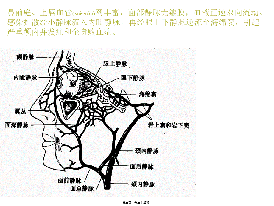 2022年医学专题—呼吸暂停平均次数每小时中枢性睡眠(1).ppt_第3页