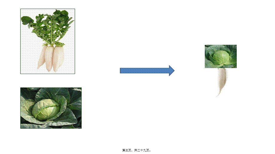 2022年医学专题—植物体细胞杂交(1).pptx_第3页