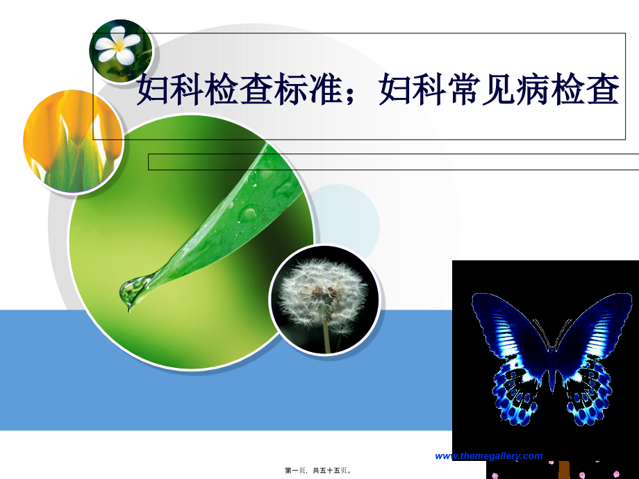 妇科检查规范;妇科常见病检查.pptx_第1页