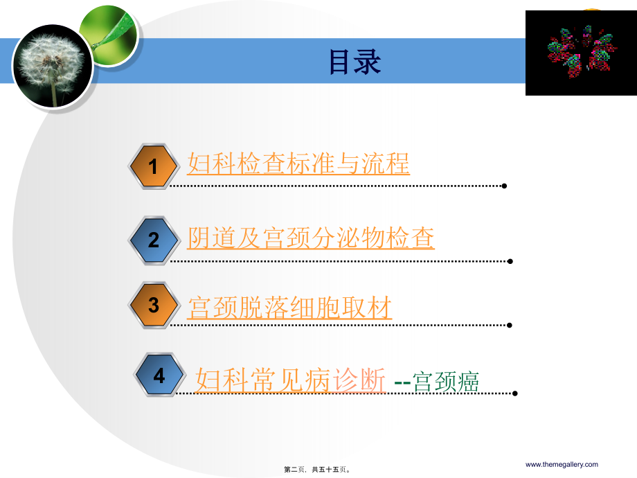 妇科检查规范;妇科常见病检查.pptx_第2页