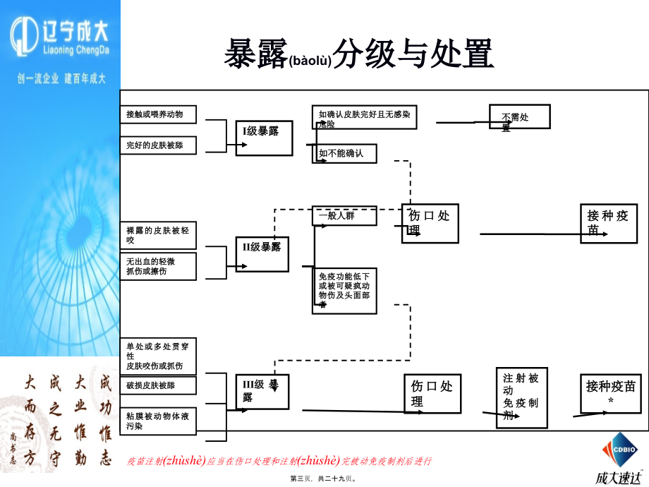 2022年医学专题—狂犬病暴露后处置.ppt_第3页