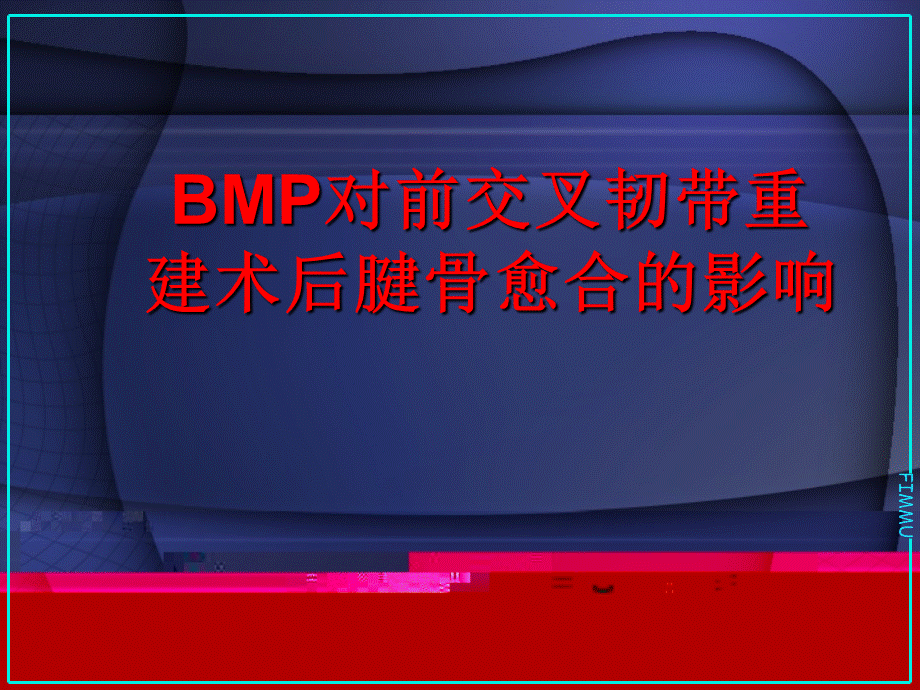 BMP对前交叉韧带重建术后腱骨愈合的影响.ppt_第1页