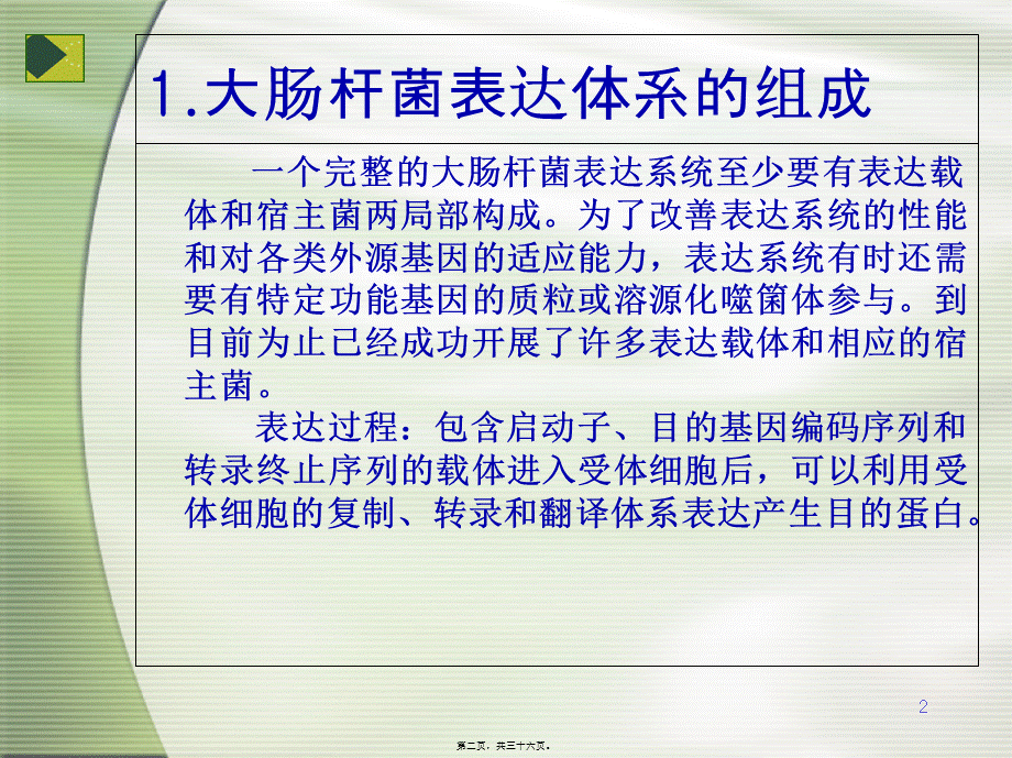 大肠杆菌表达系统详细表格.pptx_第2页