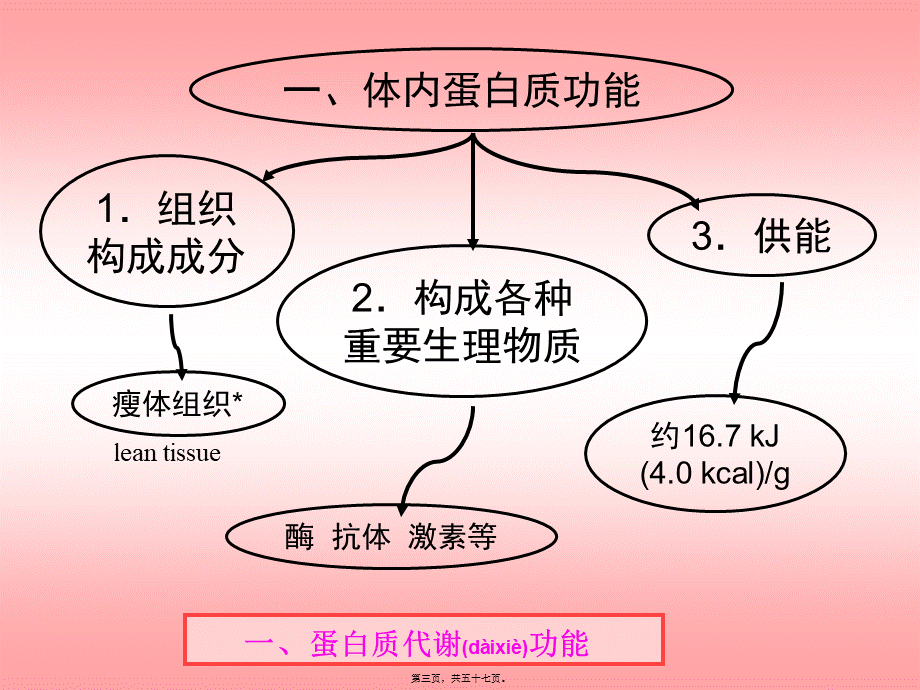 2022年医学专题—第一章营养学基础(1).ppt_第3页