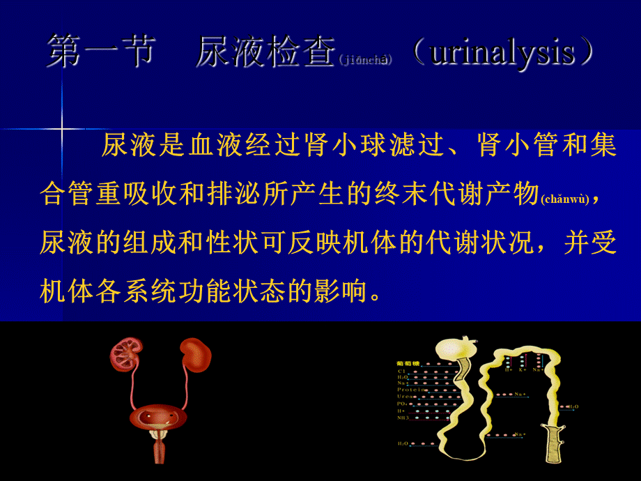 2022年医学专题—尿液jiance-4.ppt_第3页