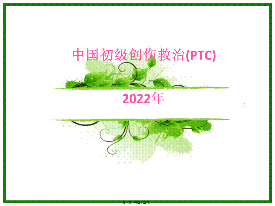 初级创伤救治一--------PPT概要.pptx_第1页