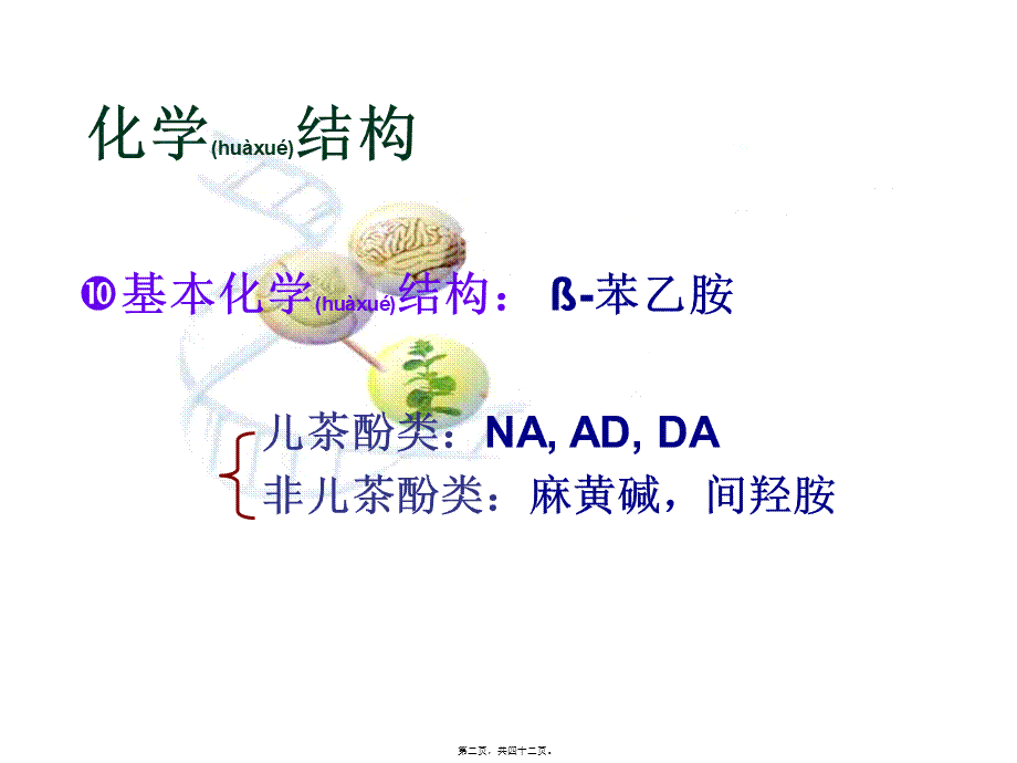 2022年医学专题—C4-2传出神经系统药(1).ppt_第2页