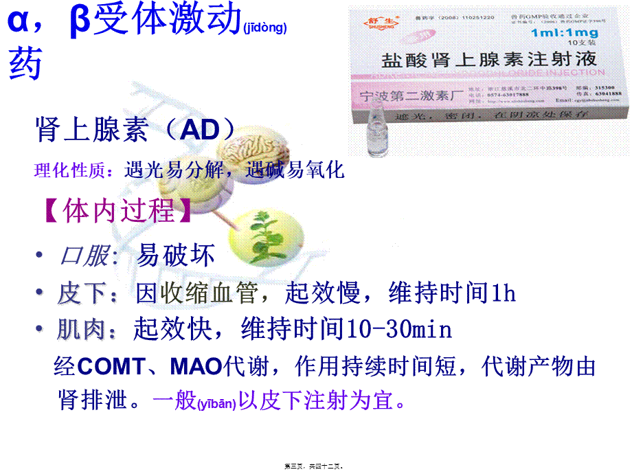 2022年医学专题—C4-2传出神经系统药(1).ppt_第3页