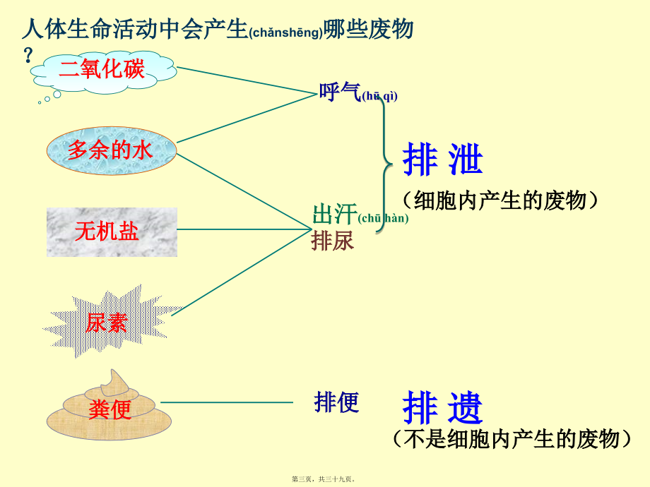 2022年医学专题—第四章-第一节-尿液的形成及排出.ppt_第3页